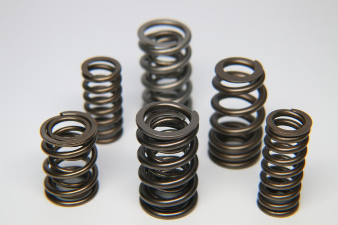 Ferrea Ford 4.6L/5.4L 24V Dual Special Alloy Valve Spring - Set of 24 Valve Springs, Retainers Ferrea   